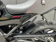 XSR 900 5.jpg