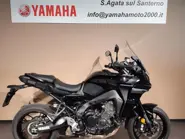 YAM TRACER 9 '23 (1).jpg