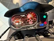 BUELL (1).jpeg