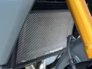 WhatsApp Image 2025-11-10 at 15.31.02.jpeg