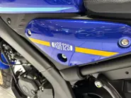 Immagine WhatsApp 2025-11-22 ore 10.06.34_7ffed1a9.jpg