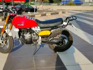 WhatsApp Image 2025-02-14 at 16.56.51.jpeg