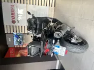 IMG_8180.jpeg
