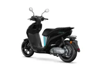 neo's nero spighi 3.jpg