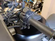 WhatsApp Image 2025-10-13 at 16.21.27.jpeg