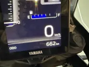 T6.jpeg