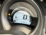 IMG_2719.jpeg