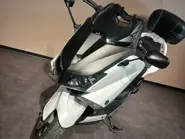 YAM T MAX 539 2012 (4).jpg