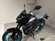MT1251.jpg