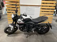 Immagine WhatsApp 2025-11-17 ore 18.50.34_b80ae3db.jpg