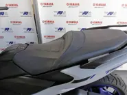 560cattelan1.jpg