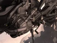 WhatsApp Image 2026-02-20 at 10.05.39.jpeg