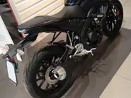 WhatsApp Image 2026-01-31 at 09.29.44.JPG