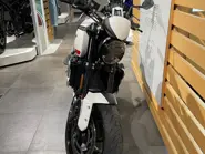 Immagine WhatsApp 2025-11-17 ore 18.50.34_56cffcc8.jpg