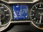 EW66640 (5).JPEG