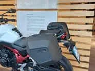 Immagine WhatsApp 2025-11-18 ore 08.50.16_32b9e190.jpg