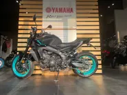 WhatsApp Image 2026-03-04 at 19.34.59 (3).jpeg