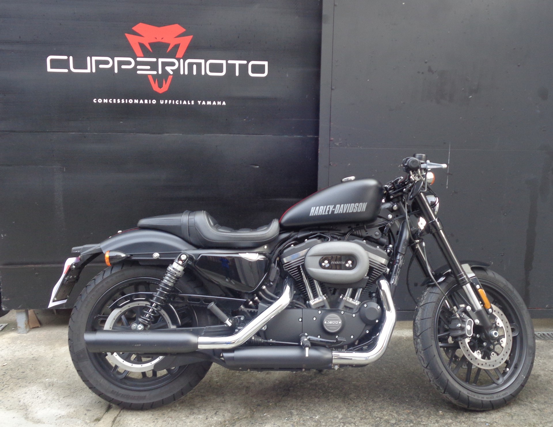Harley-Davidson Sportster 1200 Roadster ABS usata disponibile a TO
