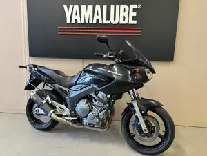 TDM 900 (2).jpg