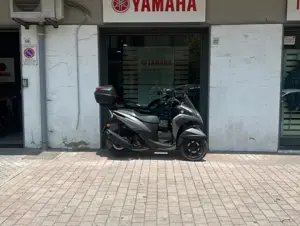 44444.jpg