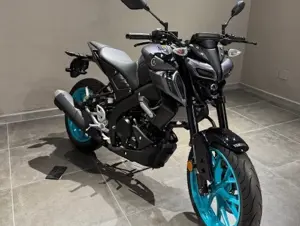 MT125.jpg