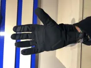 Guanto protezioni retro.jpg