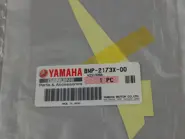 ADESIVO CODINO R1 2024.jpeg